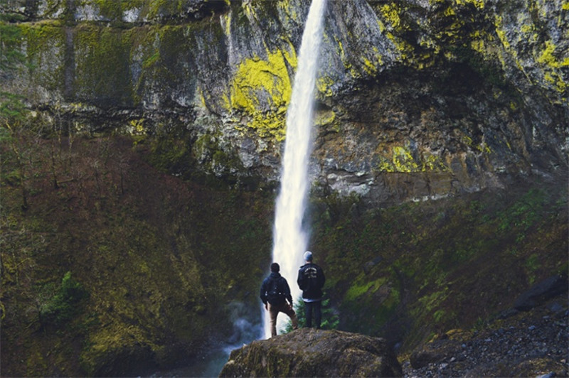 The Incredible Life of Landscapes